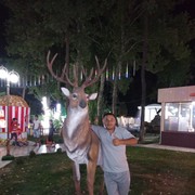  ,   Nodirbek, 45 ,   ,   , c 