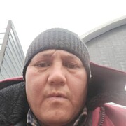 ���������� ���������, ���� ������� ��������, 43 ����, ������������ ��� ������, ����� � ���������