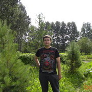  ,   , 36 ,   