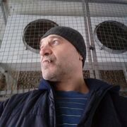 ���������� ������, ���� ������� ����, 56 ���, ������������ ��� ������, ����� � ���������