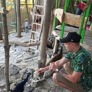 ���������� ������-��-����, ���� ������� ����, 33 ����, ������������ ��� ����� � ���������, c�������� ���������