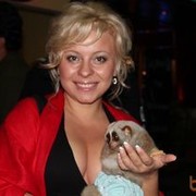  ,   Vlada, 40 ,   