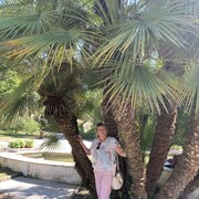  -,   , 55 ,   ,   , c , 