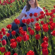 ���������� ������, ���� ������� ��������, 50 ���, ������������ ��� c�������� ���������