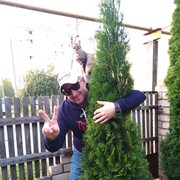  ,   M, 60 ,   