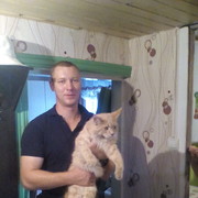 ���������� �����, ���� ������� ������, 38 ���, ������������ ��� ������, ����� � ���������, c�������� ���������