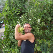  ,   , 55 ,   ,   
