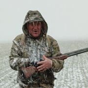  ,   , 67 ,  