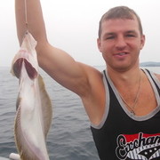 ���������� �����������, ���� ������� ����, 44 ����, ������������ ��� ������