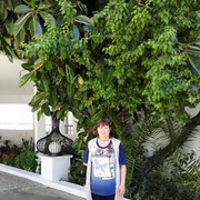  ,   , 56 ,   ,   , c 