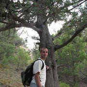 ���������� �������, ���� ������� ���������, 46 ���, ������������ ��� ������, ����� � ���������, c�������� ���������