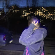 ���������� ���������, ���� ������� Alexandra, 24 ����, ������������ ��� ������, ����� � ���������