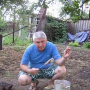   ,   , 57 ,   