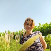 ���������� ���������, ���� ������� �������, 47 ���, ������������ ��� ������, ����� � ���������