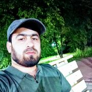  ,  Dava, 31