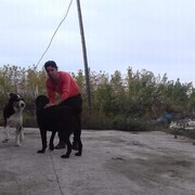  ,   Ruslik, 29 ,   ,   