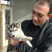 ���������� ������, ���� ������� Samo, 48 ���, ������������ ��� ������