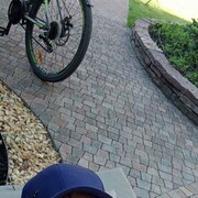  ,   , 38 ,   ,   