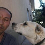  Polianky,   , 43 ,     , c 