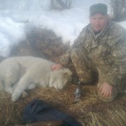 ���������� ������, ���� ������� ����, 43 ����, ������������ ��� ������, ����� � ���������, c�������� ���������