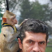 ���������� ������, ���� ������� �����, 50 ���, ������������ ��� ����� � ���������, c�������� ���������