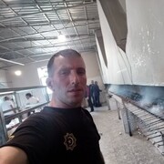 ���������� �����-���������, ���� ������� FIRUZ, 34 ����, ������������ ��� ������, ����� � ���������