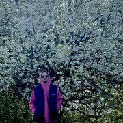 ���������� �����-���������, ���� ����� ����, 25 ���, ������������ ��� ������, ����� � ���������