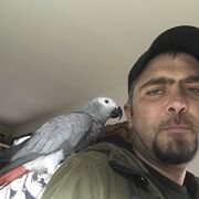 ���������� Al Jizah, ������� ������, 39