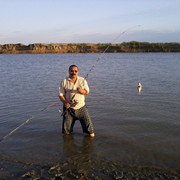 ���������� ���������, ���� ������� �����, 63 ����, ������������ 