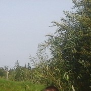 ,   , 32 ,   ,   , c 