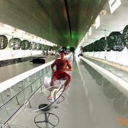  --,   , 40 ,   ,   , c 
