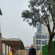 ���������� �������, ���� ������� Zoha, 41 ���, ������������ ��� ������, ����� � ���������