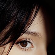 ���������� ���������, ����