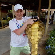 ���������� ����������, ���� ������� ����, 43 ����, ������������ ��� ������, ����� � ���������, c�������� ���������, ���������