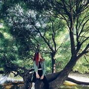 ���������� �����-���������, ���� ������� ���������, 23 ����, ������������ ��� ����� � ���������, c�������� ���������