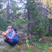 ���������� �������, ���� ������� ���������, 57 ���, ������������ ��� ������, ����� � ���������, c�������� ���������