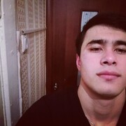 ���������� ������, ���� ������� Shamik, 31 ���, ������������ ��� ������, ����� � ���������