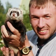 ���������� ������������, ���� ������� Alex, 41 ���, ������������ ��� ������, ���������