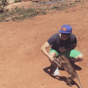 ���������� �����������, ���� ������� Prosto, 32 ����, ������������ ��� ������, ����� � ���������, c�������� ���������, ���������