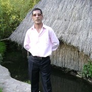 ���������� ������, ���� ������� GOGI, 44 ����, ������������ ��� ������, ����� � ���������, c�������� ���������