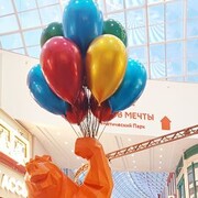 ���������� ������, ���� ������� ������, 43 ����, ������������ ��� ������