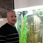  ,   , 62 ,   c 