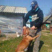 ���������� �����, ���� ������� �������, 41 ���, ������������ ��� ������, ����� � ���������