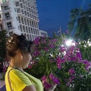 ���������� ���������, ���� ������� ��������, 51 ���, ������������ ��� ������, ����� � ���������, c�������� ���������