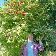 ���������� ���, ���� ������� ����, 65 ���, ������������ ��� c�������� ���������