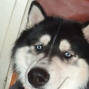 ���������� ������, ���� ������� �������, 30 ���, ������������ ��� ������, ����� � ���������