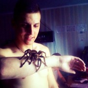 ���������� �����, ���� ������� �������, 31 ���, ������������ ��� ������