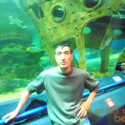 ���������� ��������, ������� ������, 39