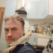  ,   , 61 ,   ,   