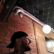 ���������� �����-���������, ���� ������� ���, 30 ���, ������������ ��� ������, ����� � ���������